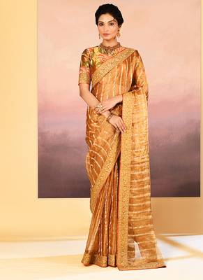 Classic gold embroidered tissue saree set 1