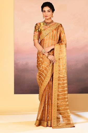 Classic gold embroidered tissue saree set