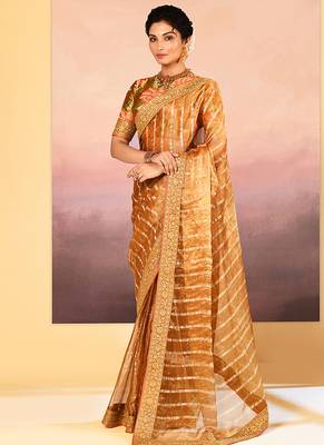 Classic gold embroidered tissue saree set 2
