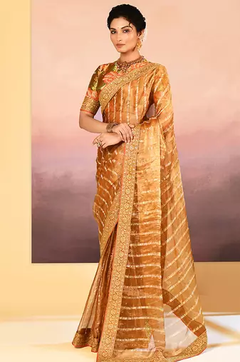 Classic gold embroidered tissue saree set