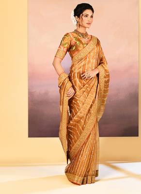 Classic gold embroidered tissue saree set 3