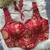 Red heavy banarasi corset style blouse