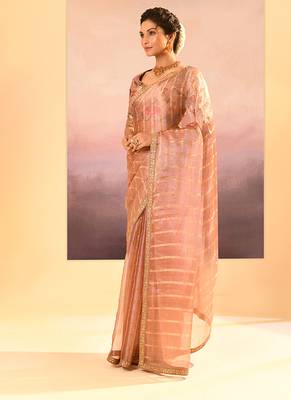Rose pink embroidered tissue saree set 2
