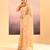 Gold beige embroidered tissue saree set