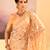 Gold beige embroidered tissue saree set