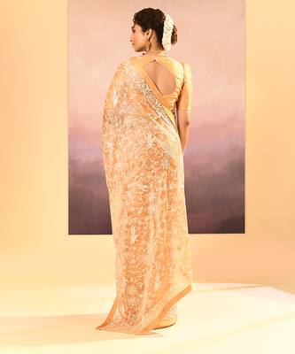 Gold beige embroidered tissue saree set 5