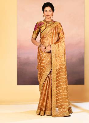 Golden embroidered tissue saree set 1