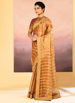 Golden embroidered tissue saree set 2
