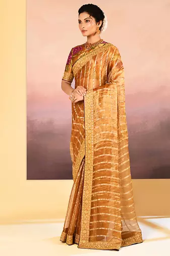 Golden embroidered tissue saree set