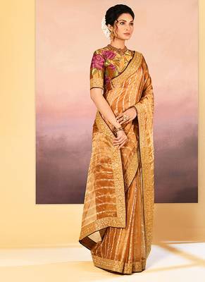 Golden embroidered tissue saree set 3