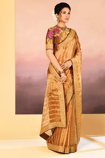 Golden embroidered tissue saree set