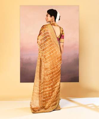 Golden embroidered tissue saree set 5