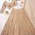 Elegant Floral Patterned Net Lehenga Set in Beige with Embellished Blouse and Dupatta with light gold colour.