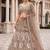 Premium Ethnic Designer Lehenga Choli Set for Women - Heavy Embroidered Peacock Motif Taupe Lehenga