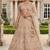 Light skin colour Beige Embroidered Bridal Lehenga Choli with Pastel Floral Motifs and Detailed Zardosi Work