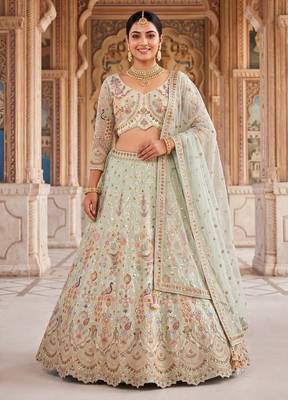 Pastel Mint Green Embroidered Lehenga Choli 1