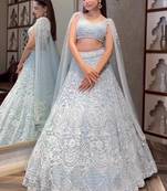 Grey Net Lehenga Choli