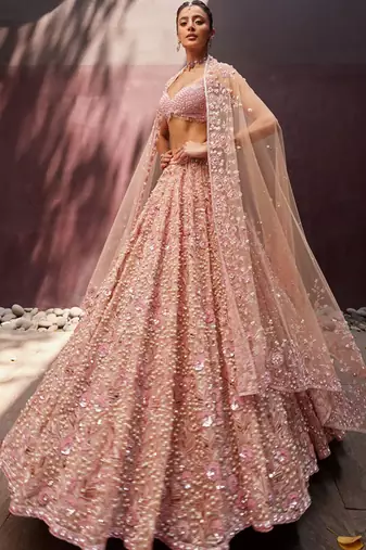 Beige Georgette lehenga Choli