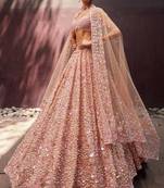Beige Georgette lehenga Choli
