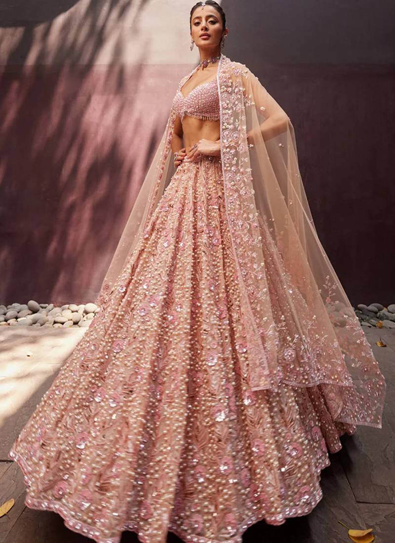 Beige Georgette lehenga Choli