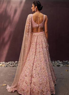 Beige Georgette lehenga Choli 2