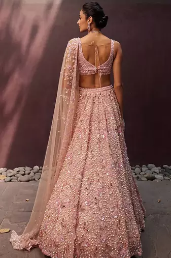 Beige Georgette lehenga Choli