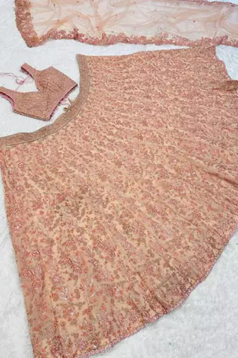 Beige Georgette lehenga Choli