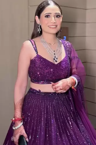 Purple Net lehenga Choli