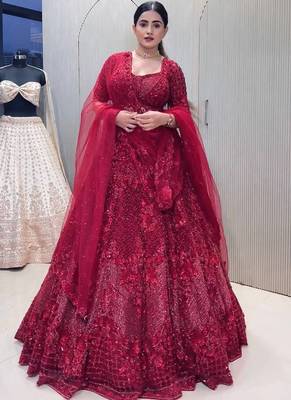 Red Net lehenga Choli 1