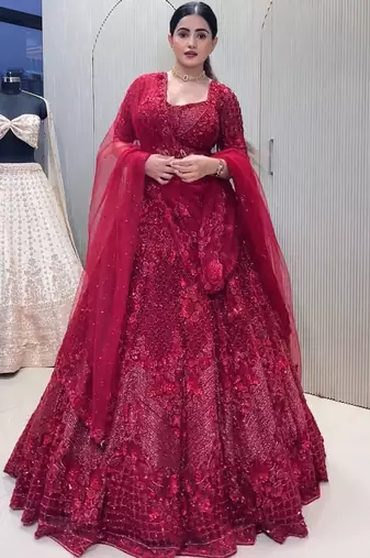 Red Net lehenga Choli