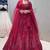 Red Net lehenga Choli