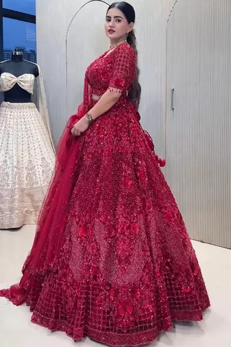 Red Net lehenga Choli
