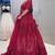 Red Net lehenga Choli