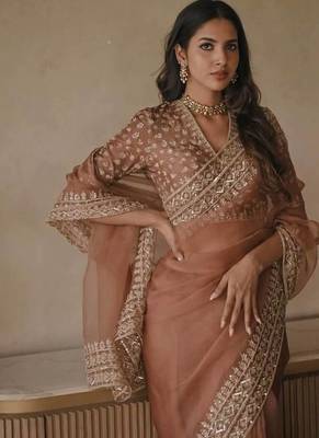 Chiku Color Intricate Thred With Sequnce Work Tibby Silk Blend Saree 1