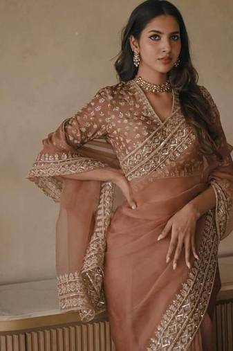 Chiku Intricate Thred With Sequin Work Tibby Silk Blend Saree