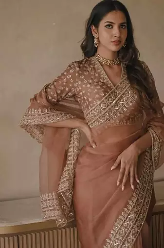 Chiku Color Intricate Thred With Sequnce Work Tibby Silk Blend Saree