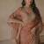 Chiku Color Intricate Thred With Sequnce Work Tibby Silk Blend Saree