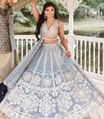 Grey Net Lehenga Choli