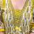 Women's Printed Cotton Kurta Pant with Dupatta Set