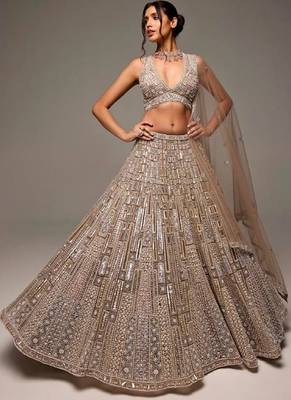 Beige Net silk blend lehenga Choli 1