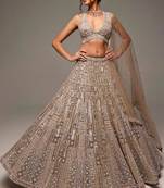 Beige Net silk blend lehenga Choli