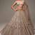 Beige Net silk blend lehenga Choli