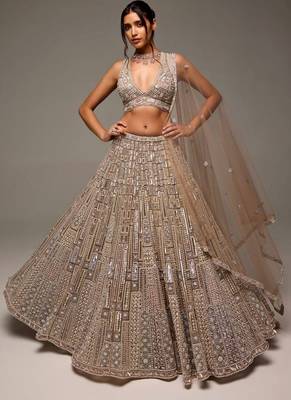 Beige Net silk blend lehenga Choli 2
