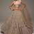 Beige Net silk blend lehenga Choli