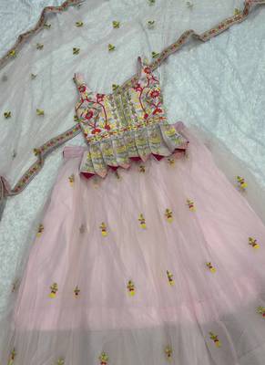 Light Pink Net lehenga Choli 3