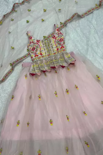 Light Pink Net lehenga Choli