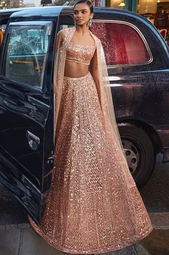 Peach Net silk blend lehenga Choli
