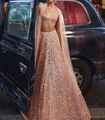 Peach Net silk blend lehenga Choli