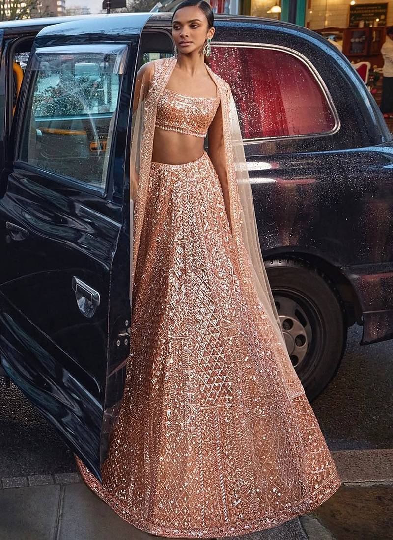 Peach Net silk blend lehenga Choli