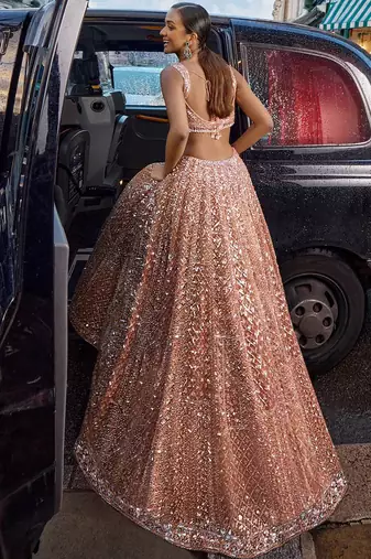 Peach Net silk blend lehenga Choli
